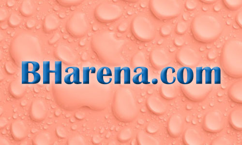 bharena.com logo