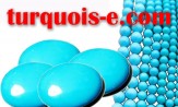 turquois-e.com logo